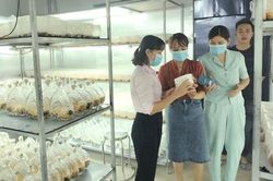 Giúp giảm nghèo cho phụ nữ vùng đất đỏ bazan từ mô hình mới của kinh tế hợp tác