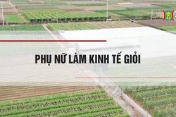 Phụ nữ làm kinh tế giỏi | Nông nghiệp nông thôn | 26/10/2023