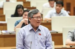 Quốc hội thảo luận về lực lượng an ninh trật tự cơ sở