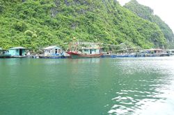 Quảng Ninh cấm tàu, thuyền hoạt động trong khu vực làng chài Cửa Vạn