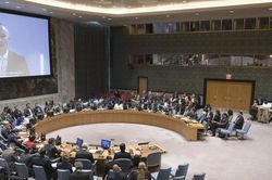 Người Palestine cầu xin ngừng tấn công, Israel vẫn tuyên bố 'xóa sổ' Hamas