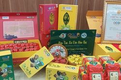 Chuyển đổi số góp phần thúc đẩy sản phẩm OCOP Thái Nguyên phát triển