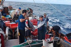 'Cùng ngư dân thắp sáng đèn trên biển' chung tay tháo gỡ thẻ vàng IUU