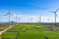 Các dự án năng lượng tái tạo chuyển tiếp phát gần 730 triệu kWh điện lên lưới