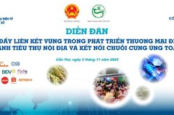 Diễn đàn Thúc đẩy liên kết vùng trong thương mại điện tử