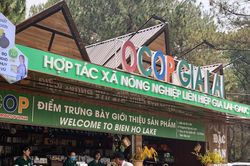 Toàn tỉnh đã có 316 sản phẩm OCOP đạt 3-4 sao