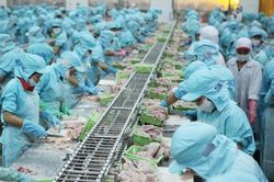 Năm 2023 dự báo xuất khẩu thủy sản đạt mức 9 tỷ USD, giảm 17% so với 2022