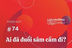 Ai đã đuổi sâm cầm đi?