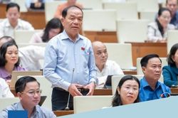 Đại biểu Lê Thanh Vân, Đoàn ĐBQH tỉnh Cà Mau: Cần nâng cao hiệu quả giám sát giải quyết kiến nghị cử tri