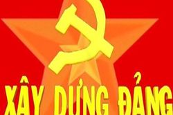 TOÀN VĂN: Quy định nhiệm vụ, mối quan hệ công tác của đảng bộ, chi bộ cơ sở trong các đơn vị sự nghiệp công lập