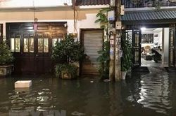 TP Hồ Chí Minh chuẩn bị ứng phó triều cường, đứng trước nguy cơ ngập nặng