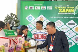 Dự án Khởi nghiệp Xanh lần 9 - 2023: 37 dự án vào chung kết