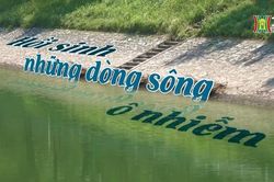 Hồi sinh những dòng sông ô nhiễm| Cuộc sống thành thị| 27/10/2023