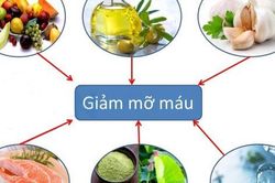 Giảm mỡ máu bằng cách nào?