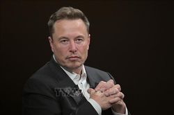 Tỷ phú Musk đề xuất Starlink có thể hỗ trợ liên lạc tại Gaza