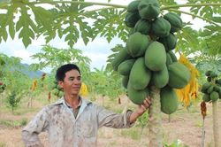 Cần thêm chính sách giảm nghèo đặc thù