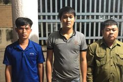 Nhóm 'dơi đêm' trộm cây mai vàng trị giá gần 150 triệu đồng