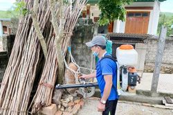 Không chủ quan với sốt xuất huyết dù số ca mắc giảm