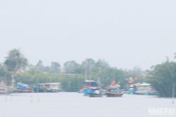 Quảng Nam chủ động ứng phó với mưa lớn và thời tiết nguy hiểm trên biển