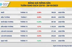 Dòng tiền tiếp tục 'chảy' mạnh vào nhóm nông sản và năng lượng
