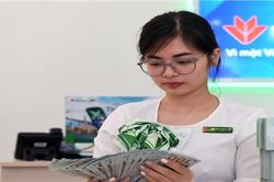 Ngân hàng Nhà nước có bán ngoại tệ để ổn định tỷ giá?