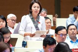 Đoàn đại biểu quốc hội tỉnh tham gia ý kiến việc triển khai thực hiện các nghị quyết của Quốc hội về các Chương trình mục tiêu quốc gia