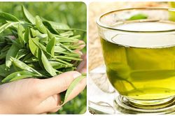 5 công dụng của nước chè xanh với sức khỏe