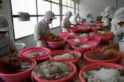 Thủy sản xuất khẩu lấy lại đà tăng