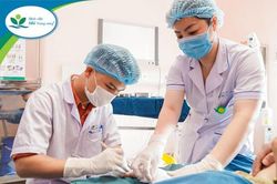 Hà Nội: Bị 4 con chó cắn, bé gái nhập viện với hàng trăm vết thương