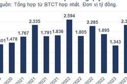 Phân bón Bình Điền đạt doanh thu kỷ lục quý III