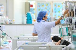 Hà Nội ghi nhận gần 2.600 ca mắc sốt xuất huyết