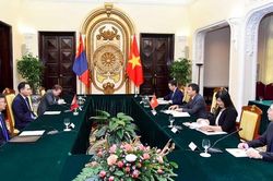 Việt Nam - Mông Cổ, tận dụng dư địa thúc đẩy hợp tác kinh tế thương mại