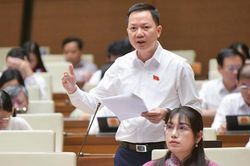 Hành vi thao túng thị trường bất động sản nguy hiểm không kém gì thao túng thị trường chứng khoán