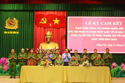 Tiếp nhận 270 súng, 15 bom, mìn, lựu đạn và hàng nghìn vũ khí các loại