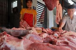 Giá heo hơi hôm nay 31/10: Diễn biến trái chiều, giá thức ăn chăn nuôi nhập khẩu giảm đáng kể