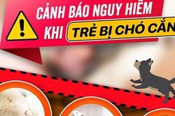 Bé gái bị 4 con chó tấn công với hàng trăm vết thương trên người