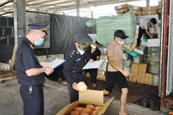 Quảng Ninh: Xử lý hơn 2 nghìn vụ buôn lậu, gian lận thương mại và hàng giả trong 10 tháng