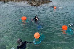 Nghề lặn biển của các hải nữ đảo Jeju