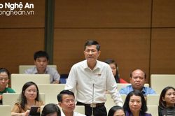 Giáo sư Thái Văn Thành: Bộ Giáo dục và Đào tạo không nhất thiết biên soạn sách giáo khoa cho tất cả các môn học