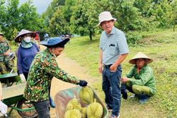 Bầu Đức kiếm nghìn tỷ từ trái cây trong quý III/2023