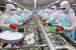 Doanh nghiệp xuất khẩu thủy sản còn đối mặt nhiều khó khăn