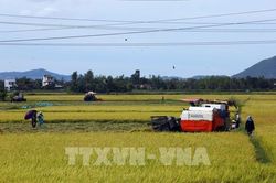 Tìm cơ hội trong thị trường biến động