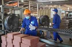 PMI tháng 10 dưới ngưỡng 50 điểm: Ngành sản xuất Việt Nam suy giảm nhẹ