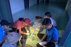 Người dân cần tuân thủ các biện pháp phòng, chống bệnh sốt rét