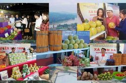 Bảo Thắng: Khơi nguồn cho 'tam nông' đổi mới
