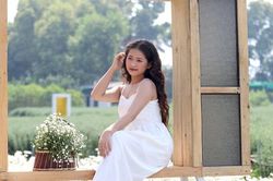Những vườn cúc họa mi đầu mùa đẹp như tiên cảnh, chị em háo hức 'đi săn'