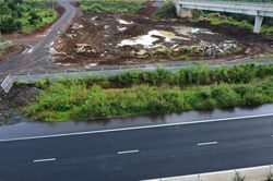 Yêu cầu cắt tỉa cỏ dại mọc lan, gây mất an toàn trên cao tốc Phan Thiết- Dầu Giây