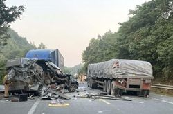 Tổng kiểm tra xe kinh doanh vận tải khách hợp đồng trên cả nước