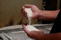 Giá gạo xuất khẩu của Việt Nam tăng vọt, cao nhất từ trước đến nay