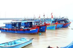Quảng Bình quyết liệt chống khai thác thủy sản trái phép